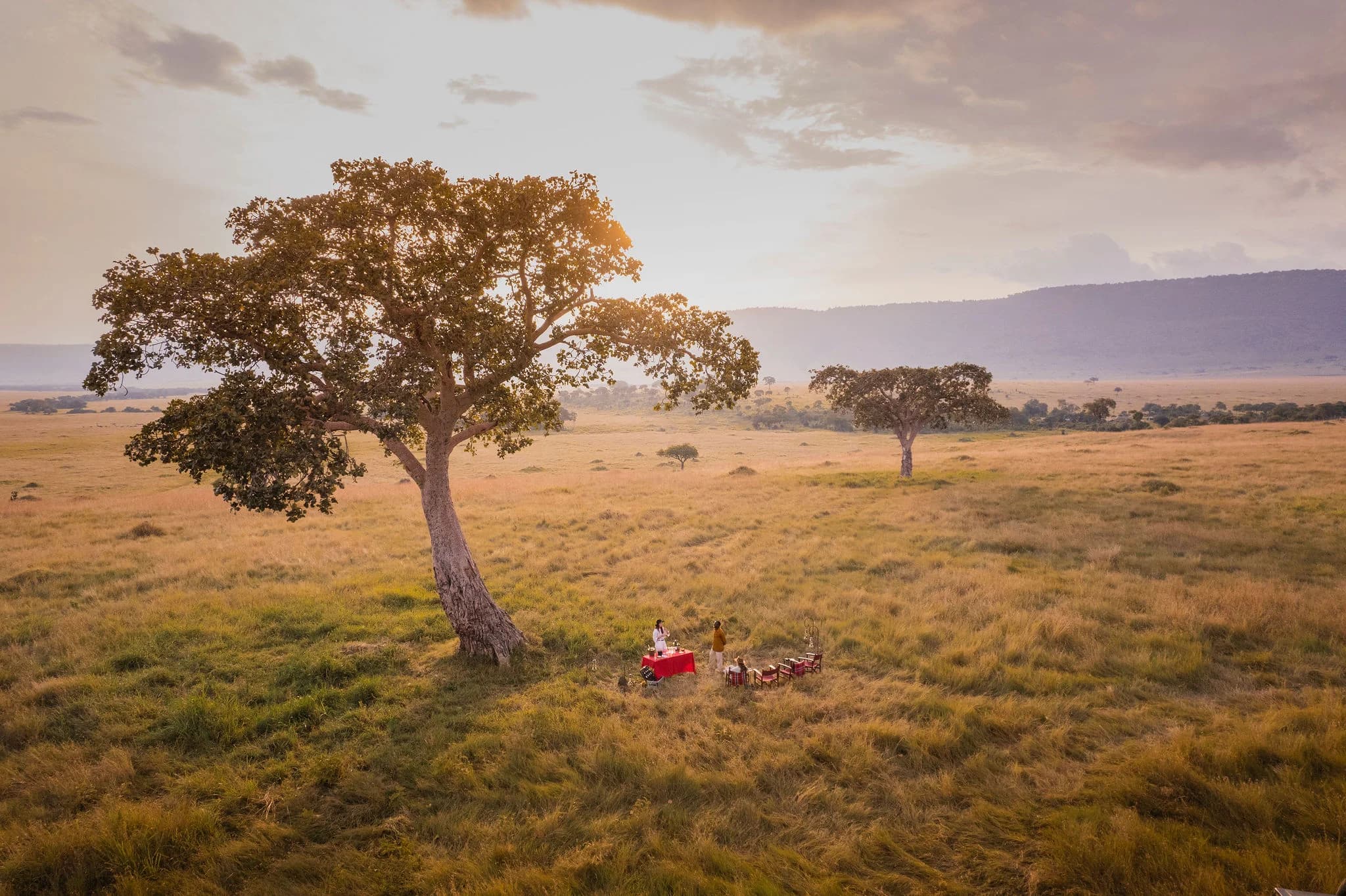 The Camp and the Migration: Angama Safari Camp in the Heart of the Mara