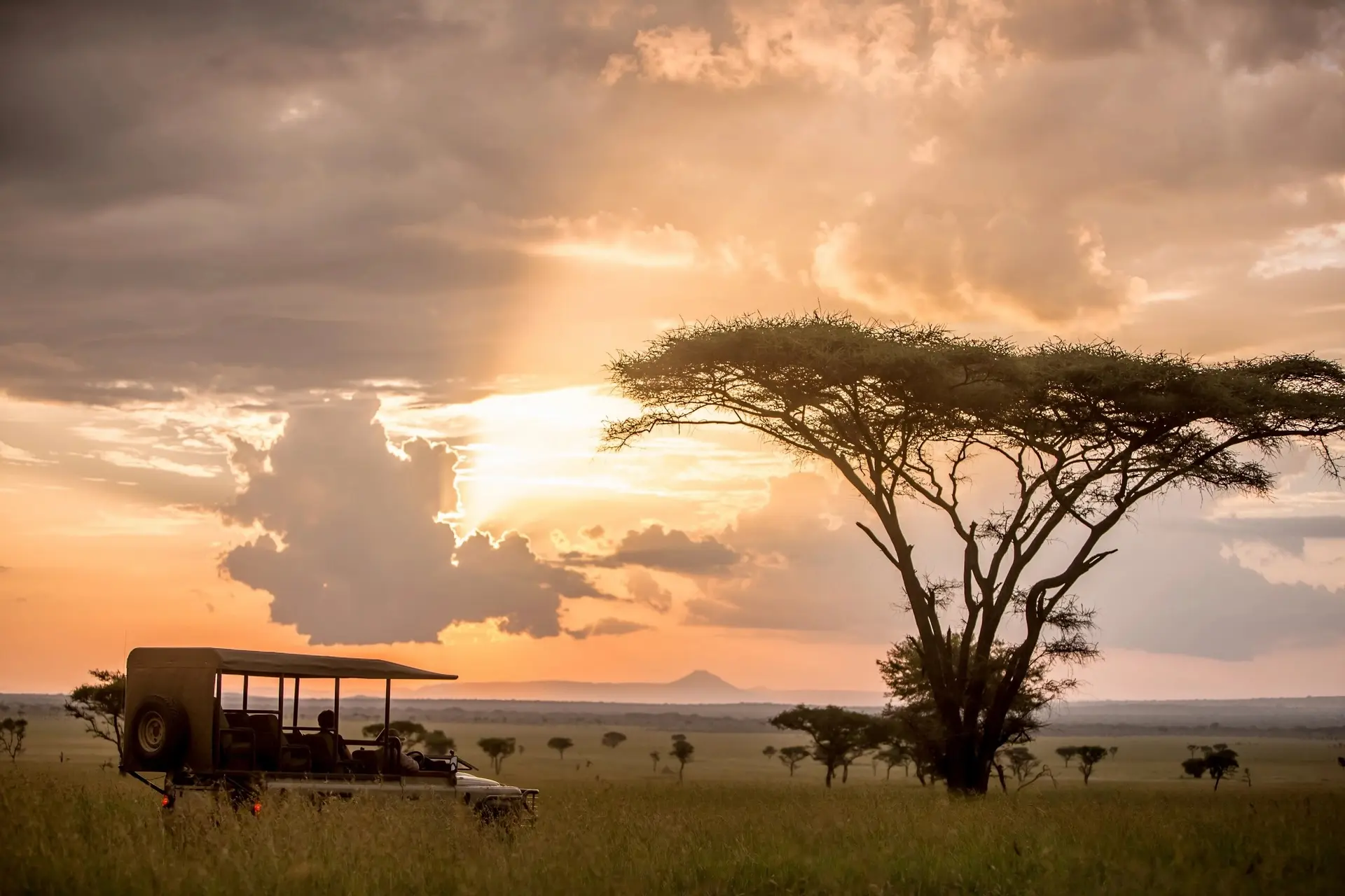 Safari vehicle at sunset on the Serengeti plains, Tanzania