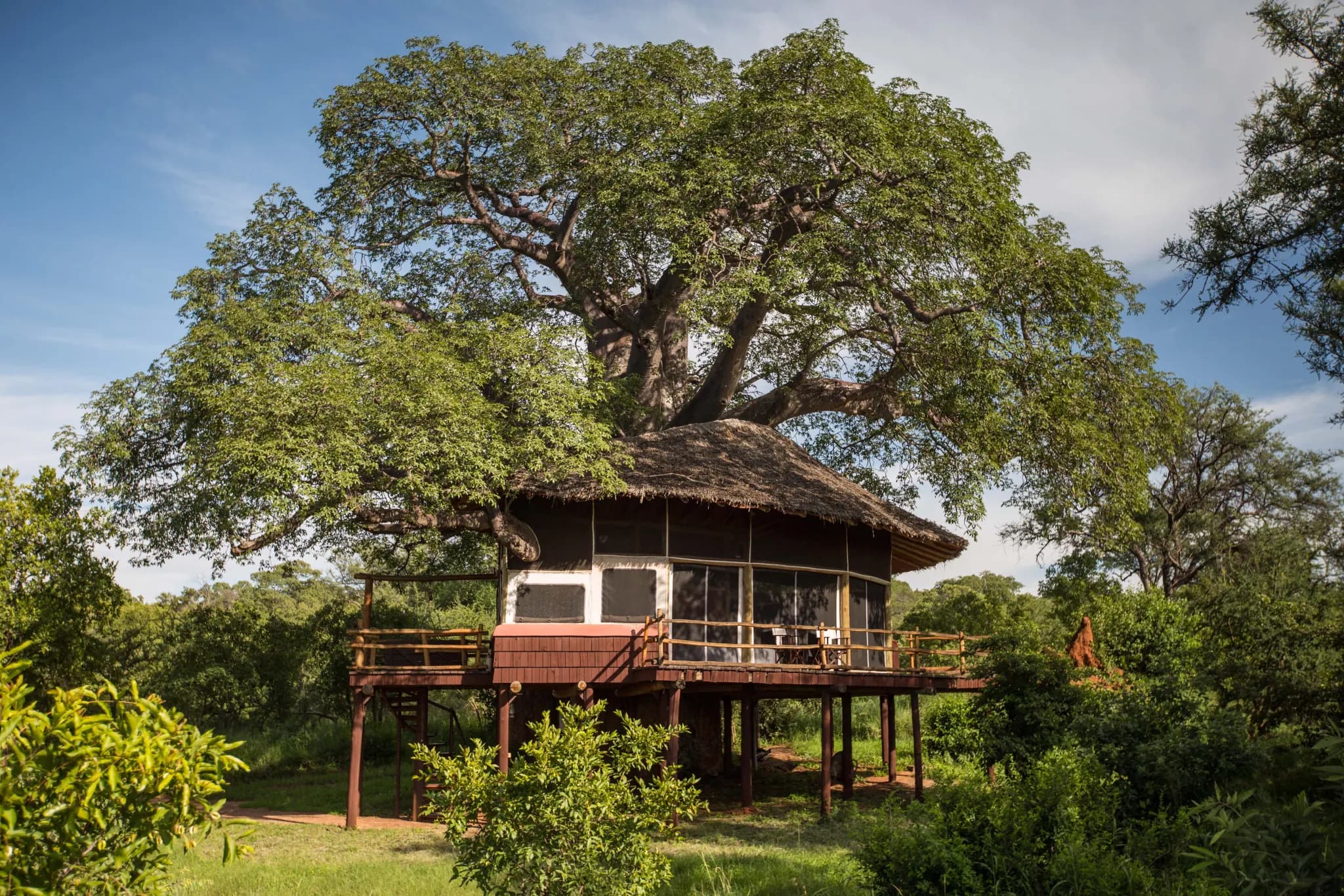 A Room in the Baobabs: Tarangire Treetops and the Elephant Capital